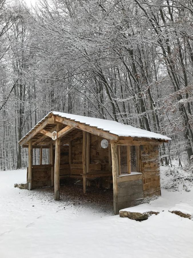 Ferienwohnung Auszeit Am Kurpark Bad Berka - Balkon - Ruhige Lage- Gratis Parkplatz & Wlan Экстерьер фото