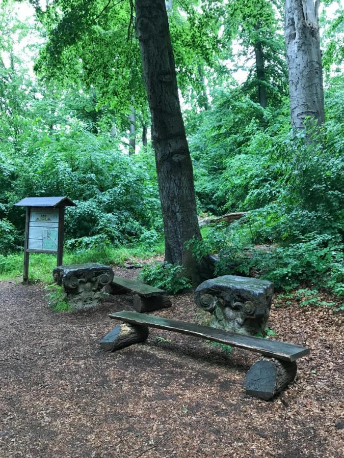 Ferienwohnung Auszeit Am Kurpark Bad Berka - Balkon - Ruhige Lage- Gratis Parkplatz & Wlan Экстерьер фото